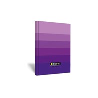 Brulion A4 TOP-2000 Ombre fioletowy 96k kratka